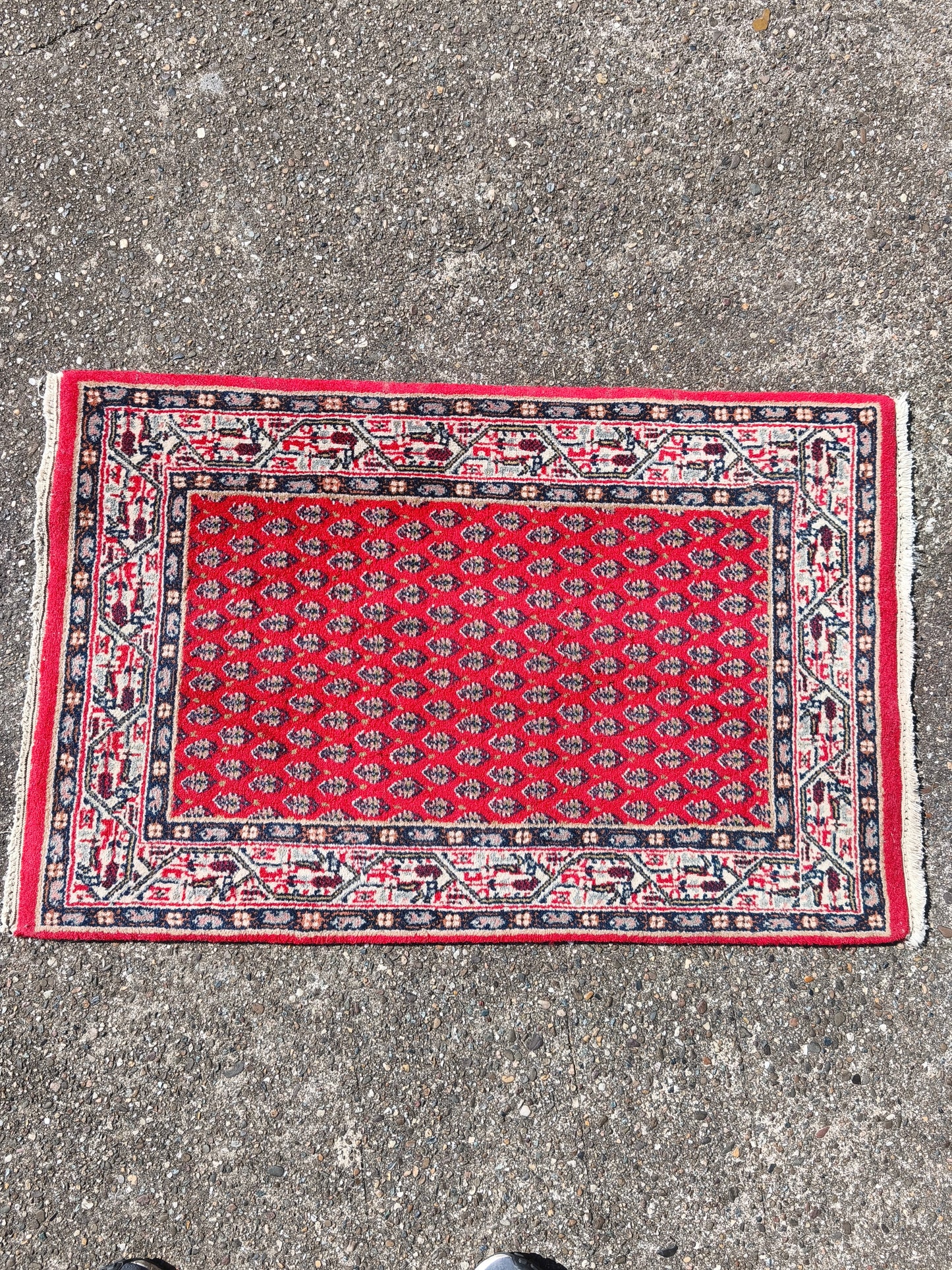 Used Indian Sarough Mir Made Carpet 90x60cm / 2.9x1.9 feet