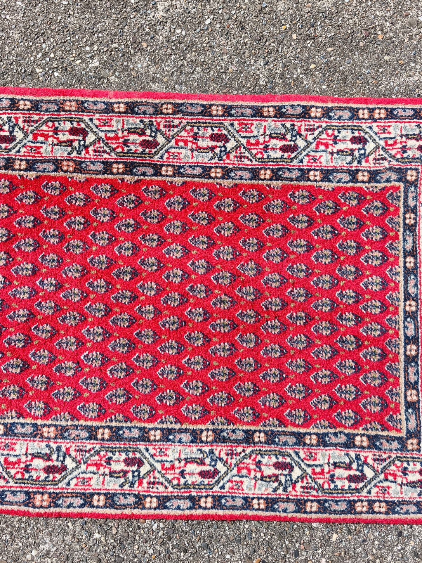 Used Indian Sarough Mir Made Carpet 90x60cm / 2.9x1.9 feet
