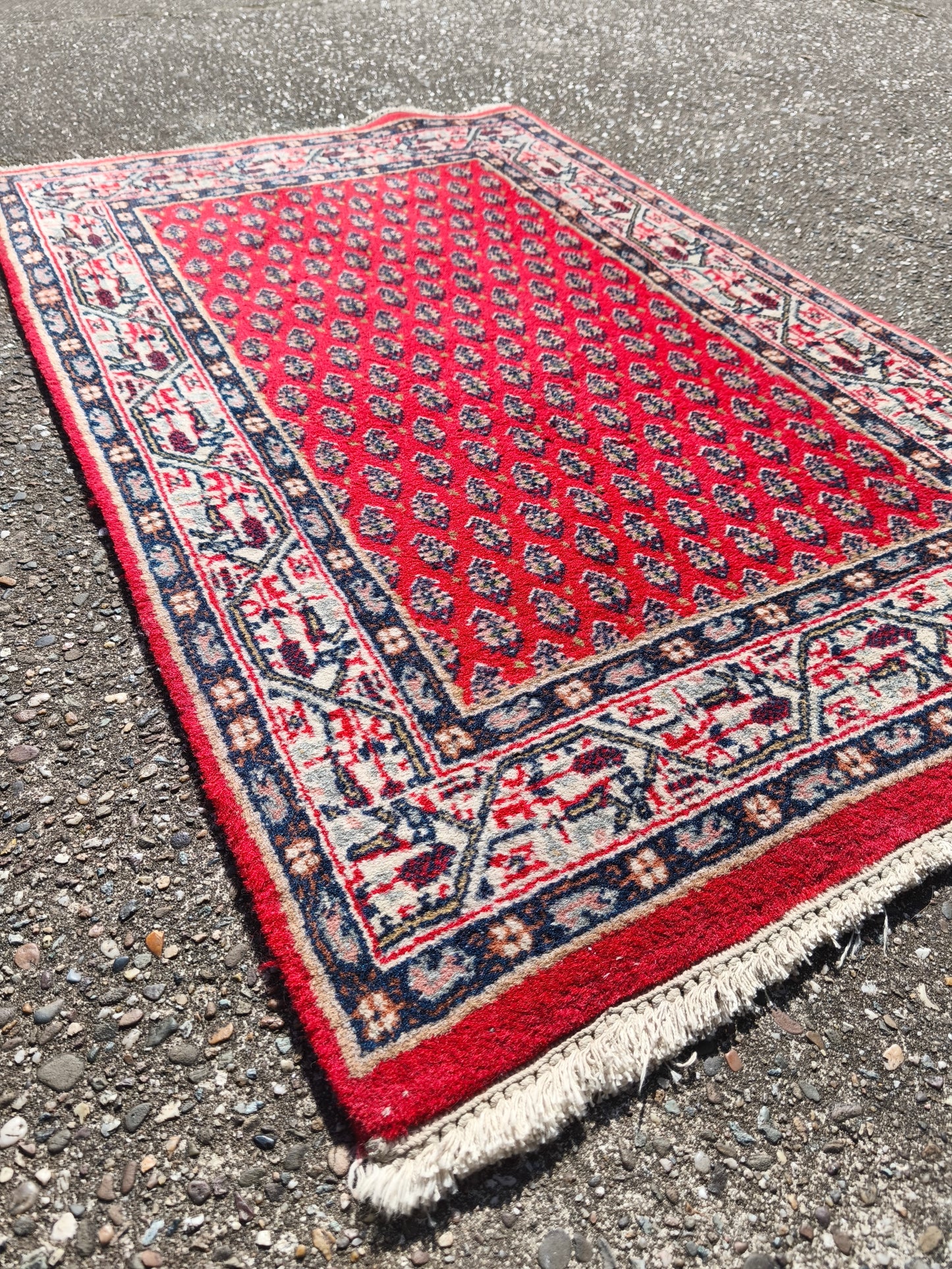 Used Indian Sarough Mir Made Carpet 90x60cm / 2.9x1.9 feet