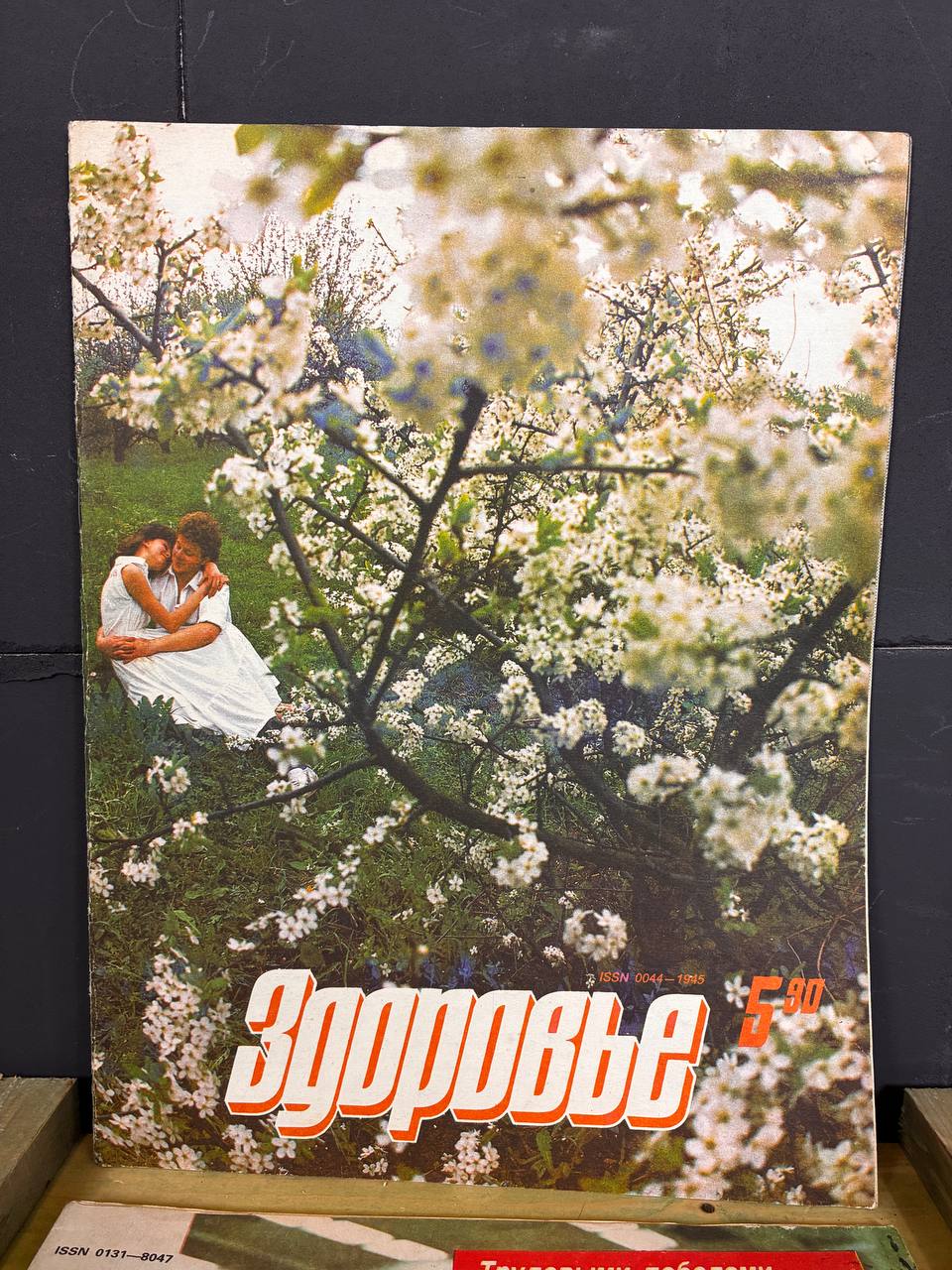 Soviet Zdorovye Health Magazine
Здоровье №5 / USSR Health & Lifestyle Magazine