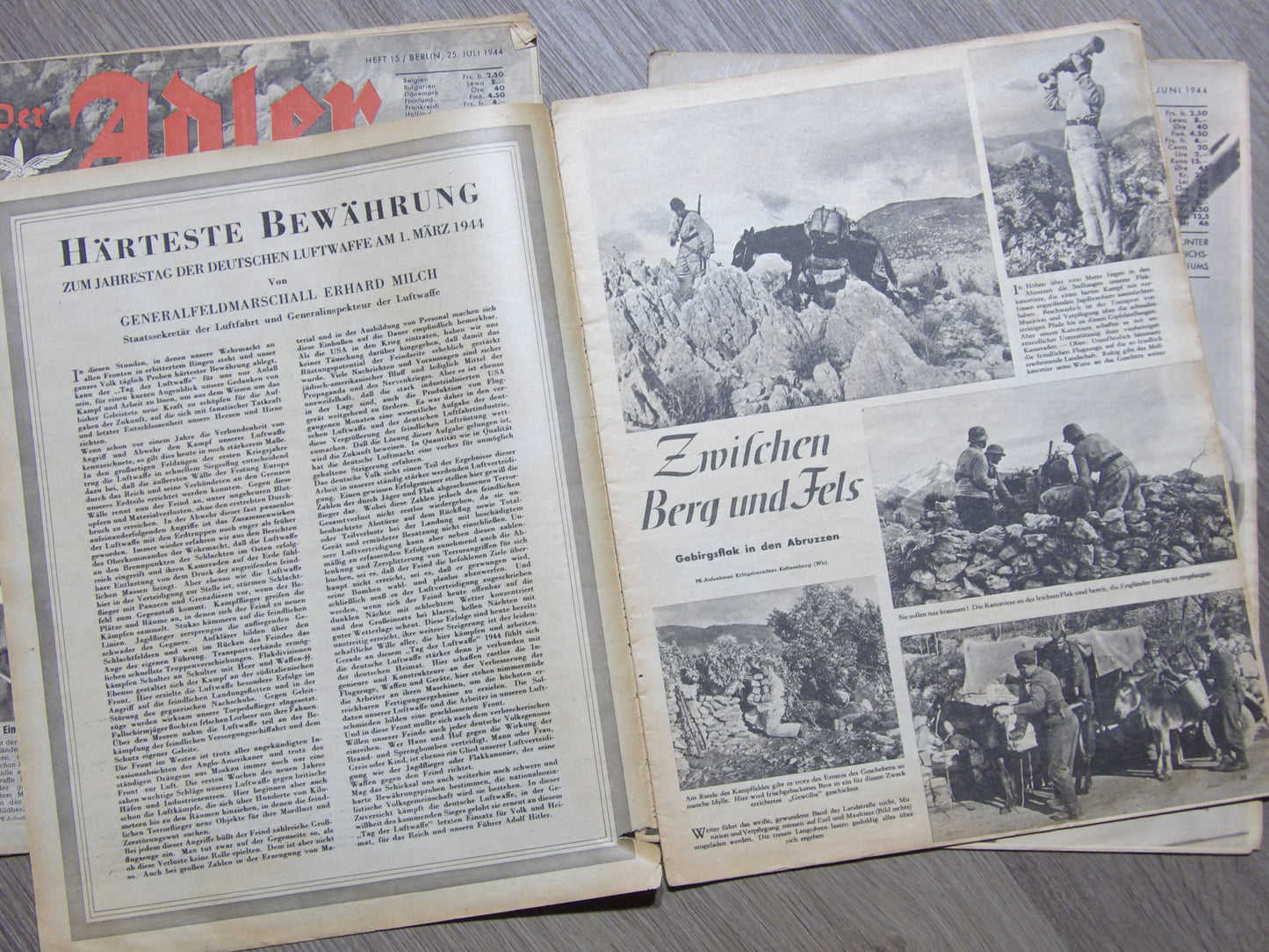 Der Adler 1939-'44 Third Reich German Luftwaffe Magazine