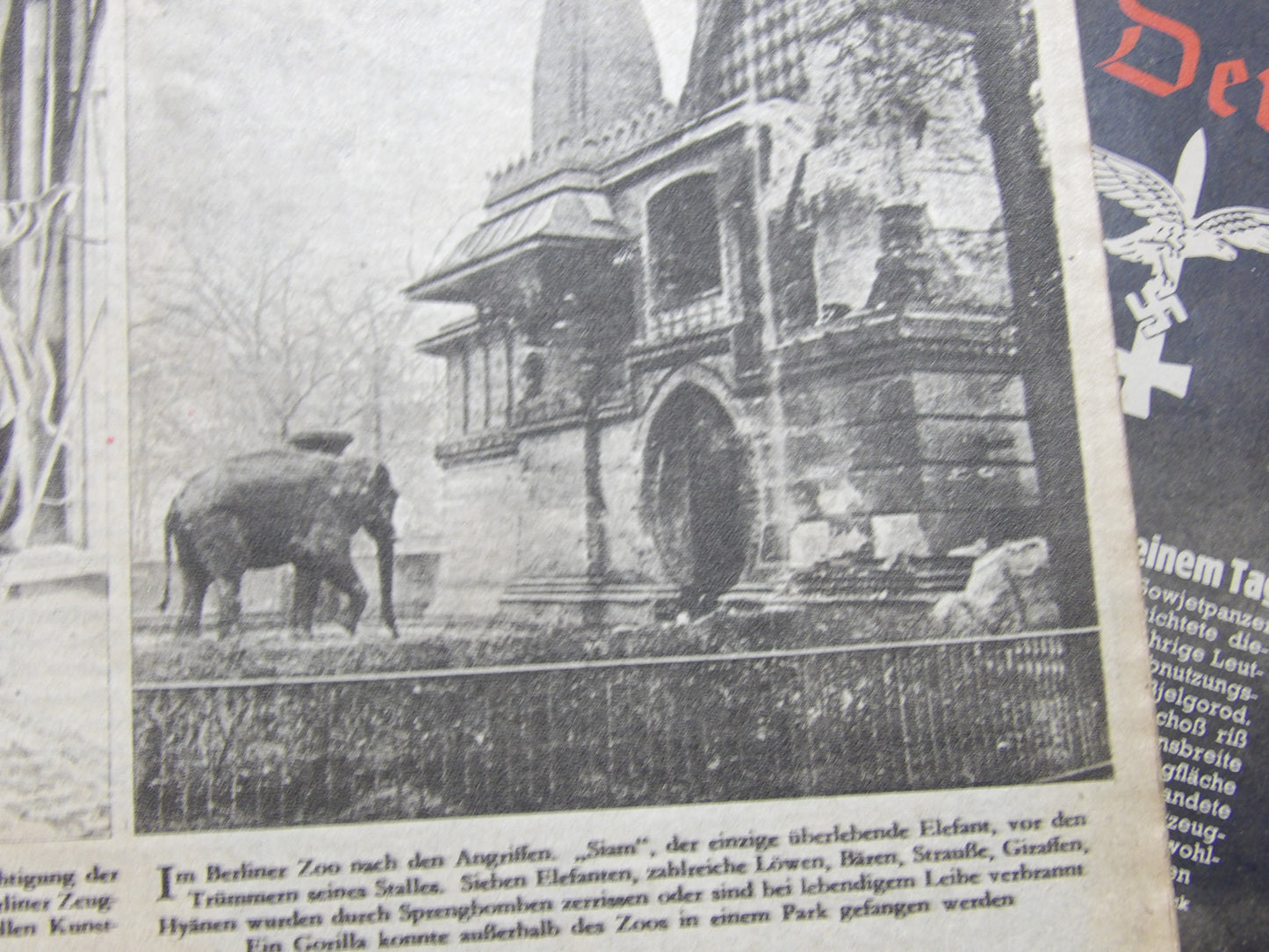 Der Adler 1939-'44 Third Reich German Luftwaffe Magazine