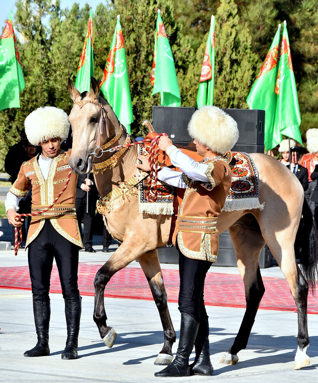 Turkmenistan Flag 60x90cm