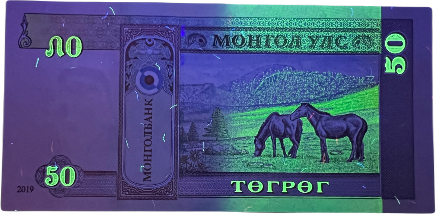 Mongolia 50 Tögrög / Tugriks — Banknote (2024)