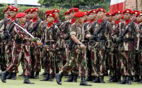 Indonesian KOPASSUS (SF) "Flowing Blood" Camouflage Combat Shirt L