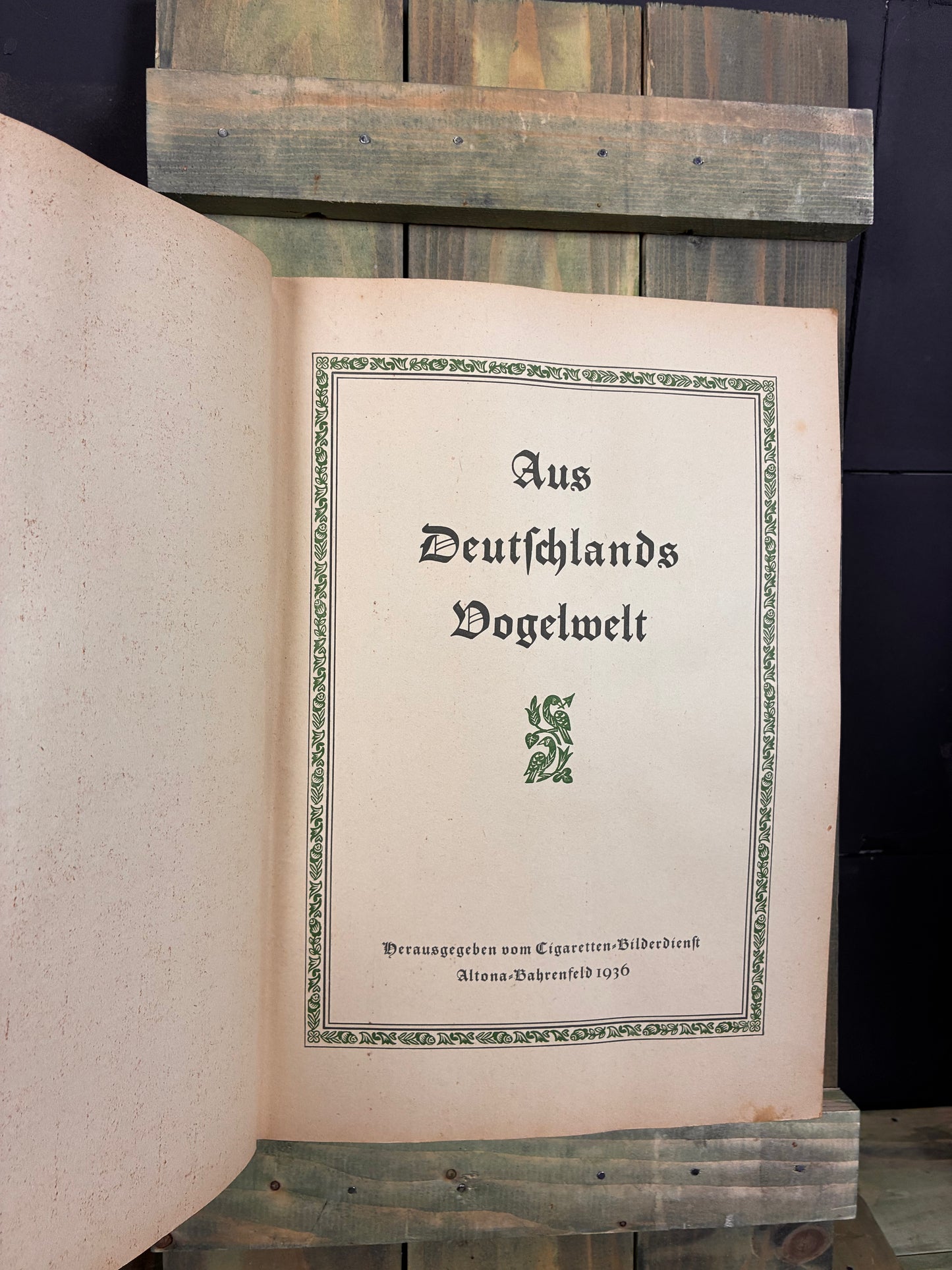 1936 German Birdlife- Illustrated Collector's Album