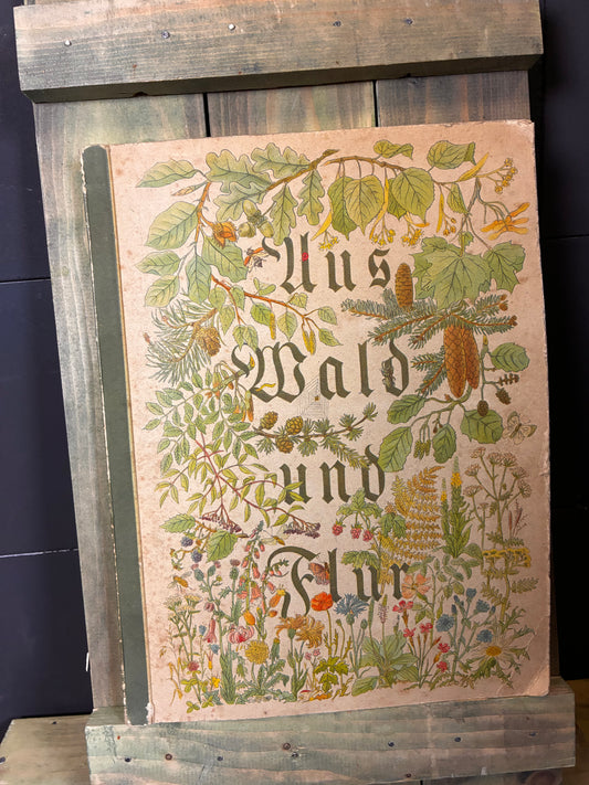 1937 Aus Wald und Flur (Forest & Field) German Botanical Picture Album