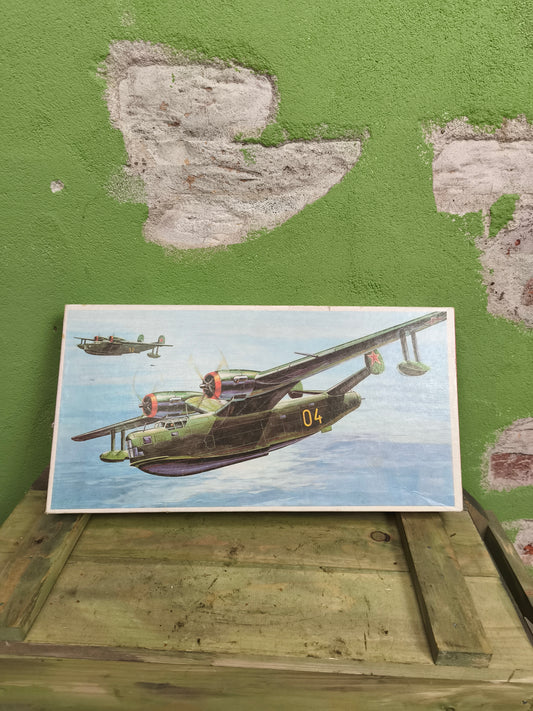 DDR Model kit Beriev Be-6 Soviet Water Plane