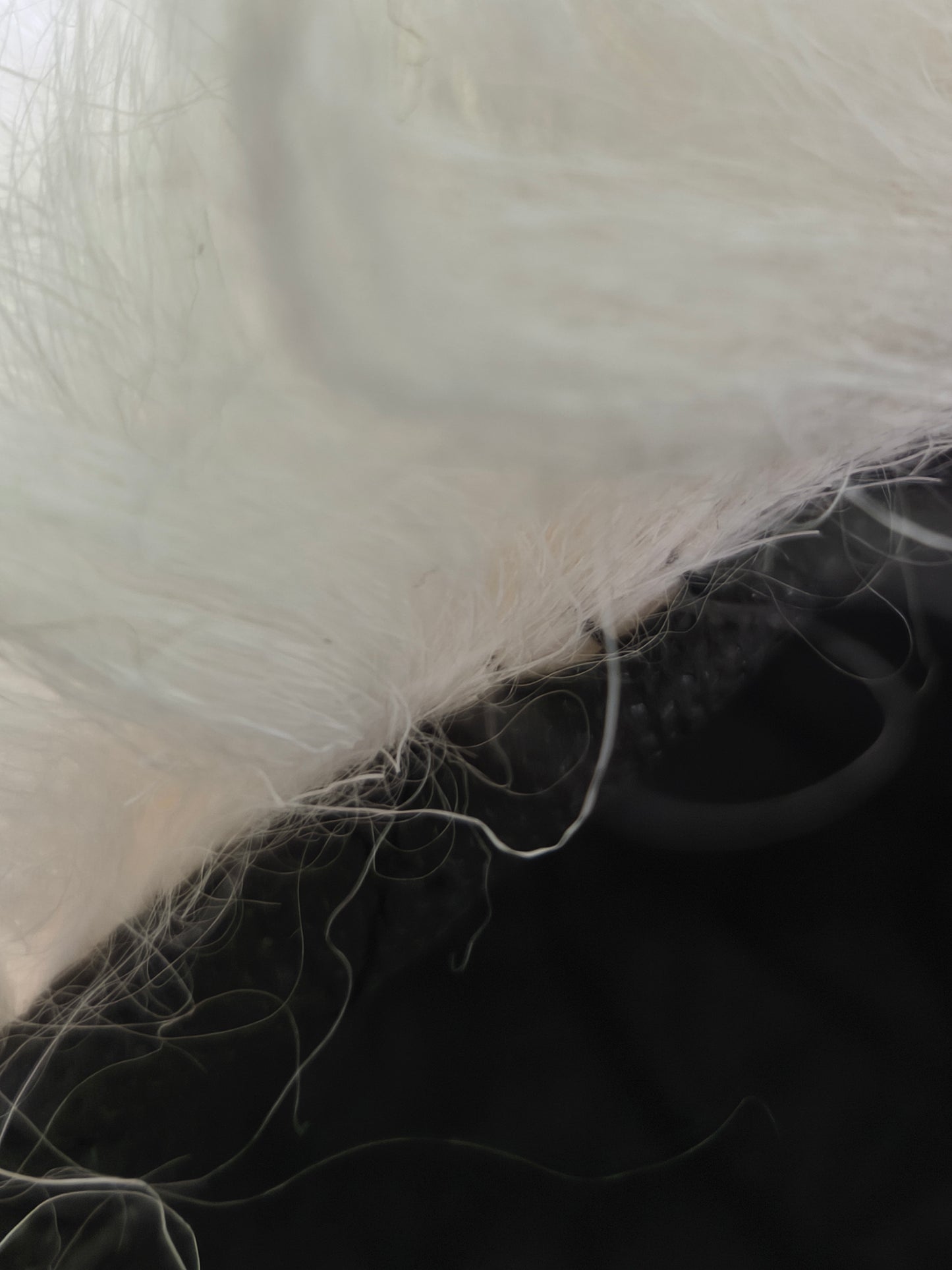 Caucasian Papakha Sheepskin Fur Hat [White]