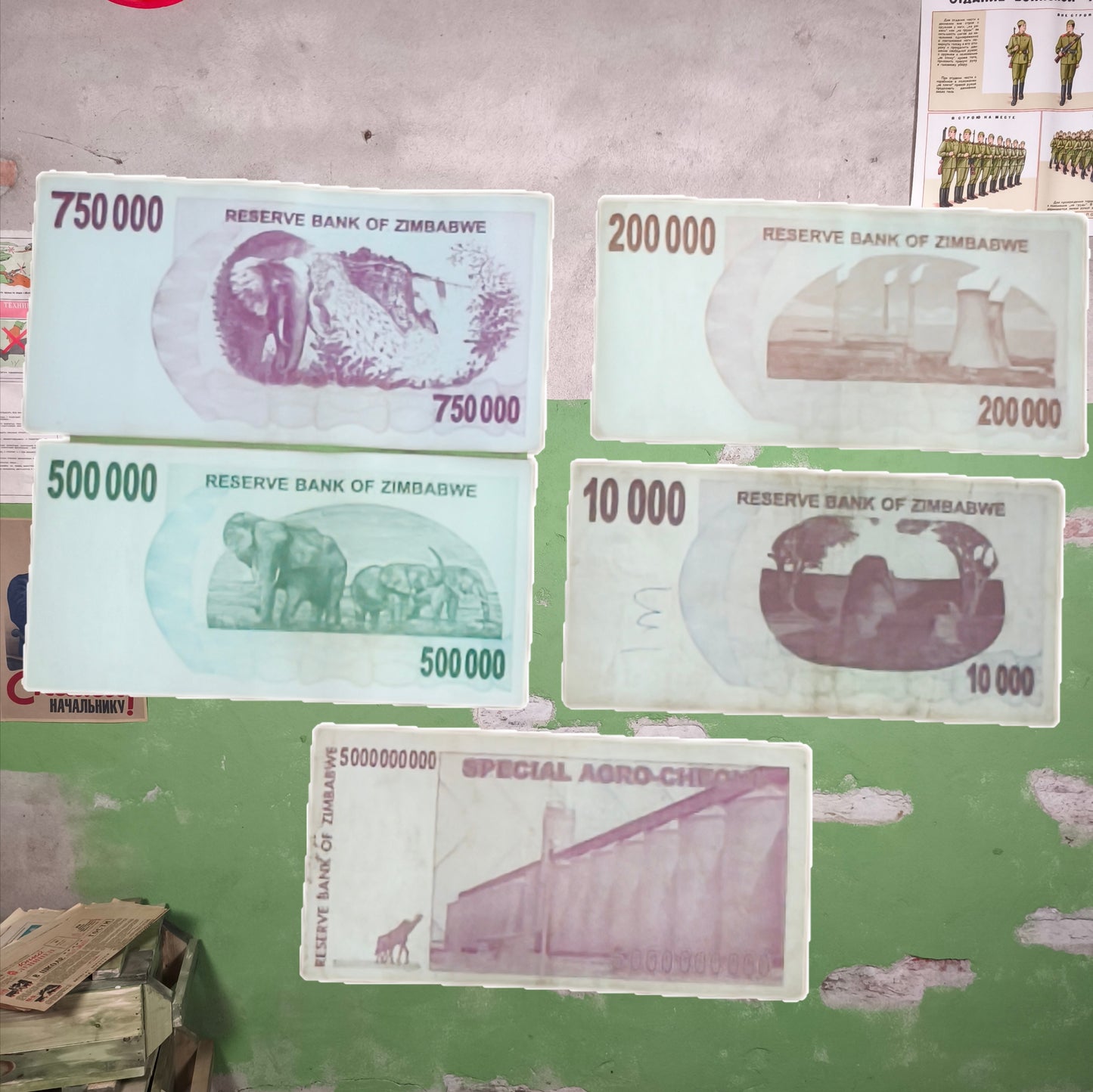 5+ Billion Zimbabwawe Dollars Hyperinflation Banknotes (Set of 5 Banknotes)