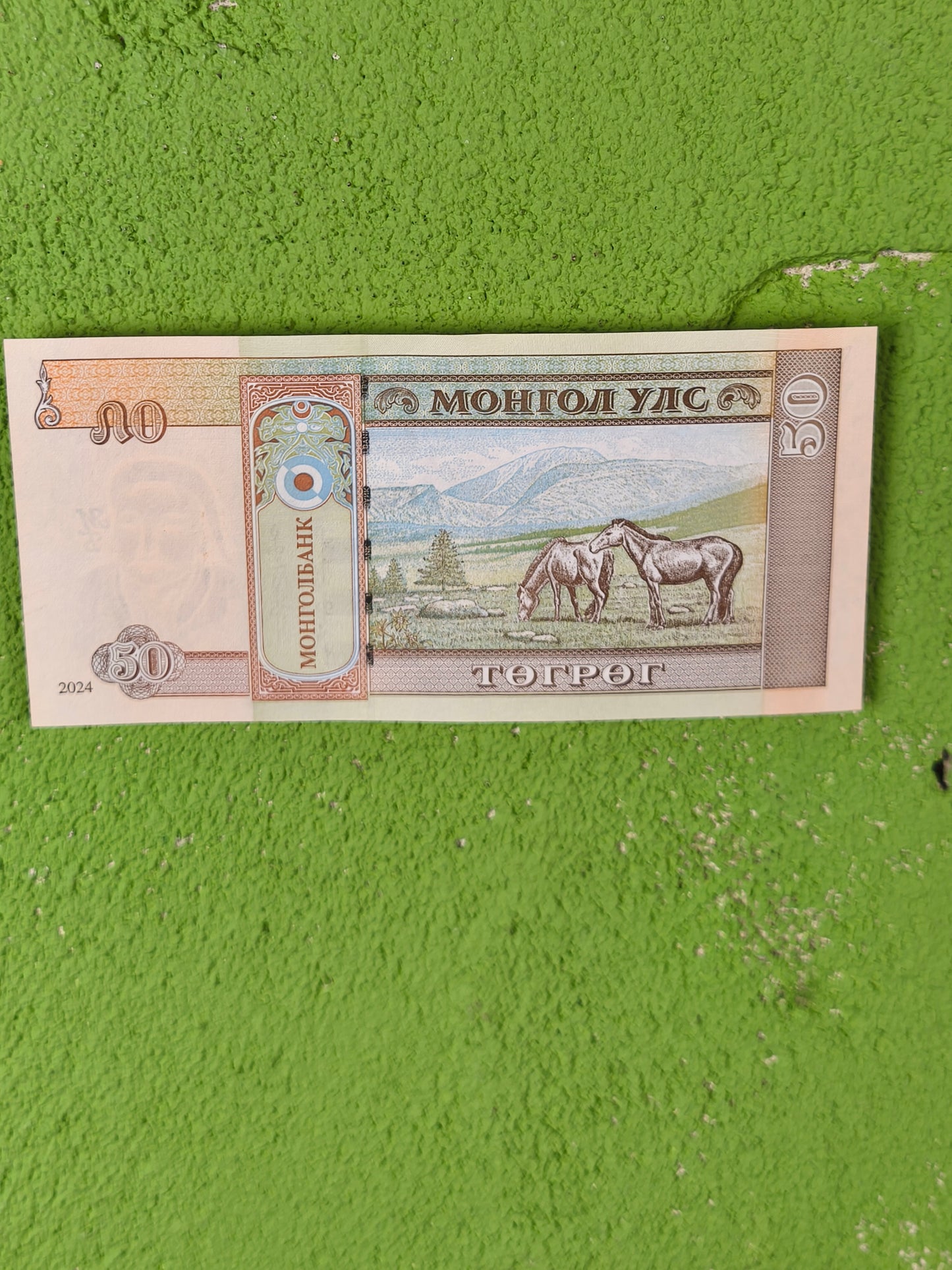 Mongolia 50 Tögrög / Tugriks — Banknote (2024)