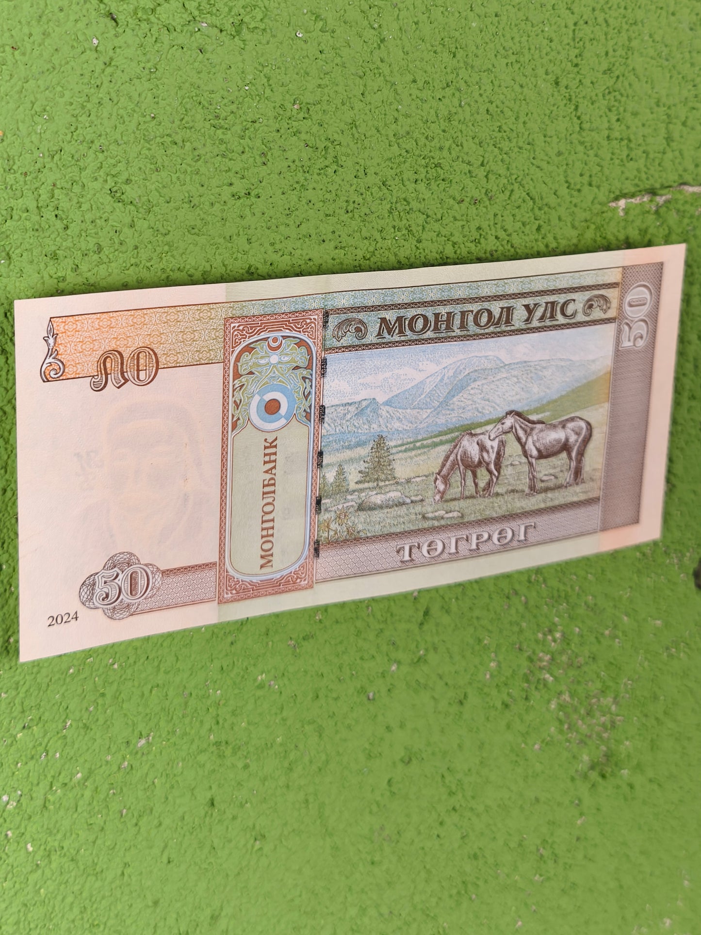 Mongolia 50 Tögrög / Tugriks — Banknote (2024)